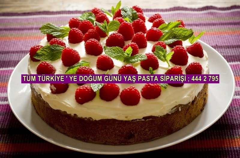Online yaş pasta siparişi verin , doğum günü pasta çeşitleri fiyatları